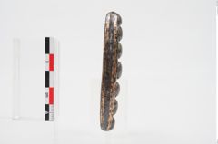Foto von Bimetalldolchmesser (NHMW-PRAE-025566)